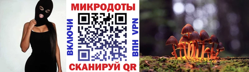 Псилоцибиновые грибы мицелий  Купить закладки  Краснознаменск 